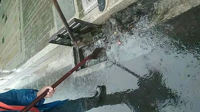 202307062028.jpg